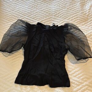 Zara Black Ruffled Sheer Puff Sleeve Blouse